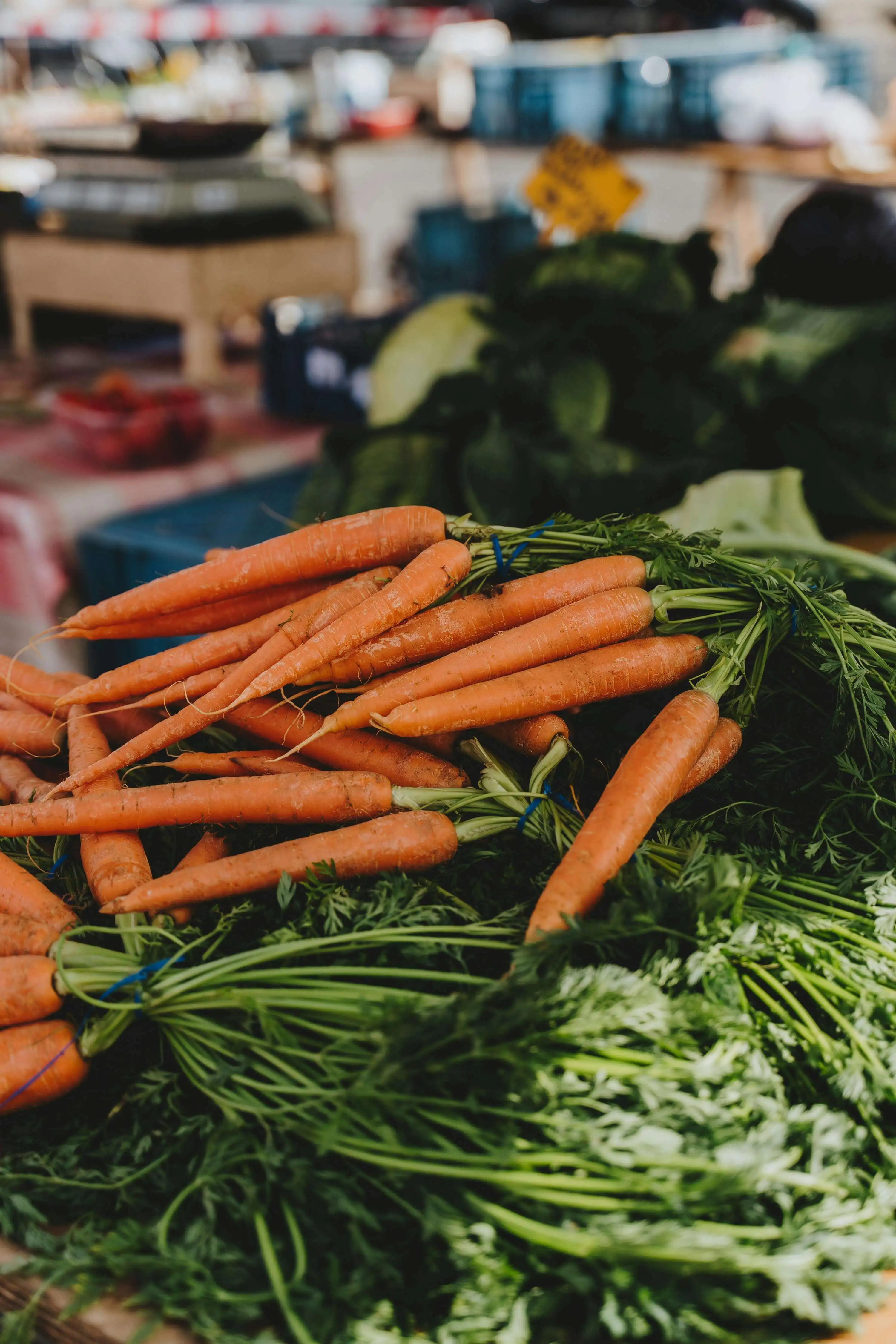Carottes fraiches