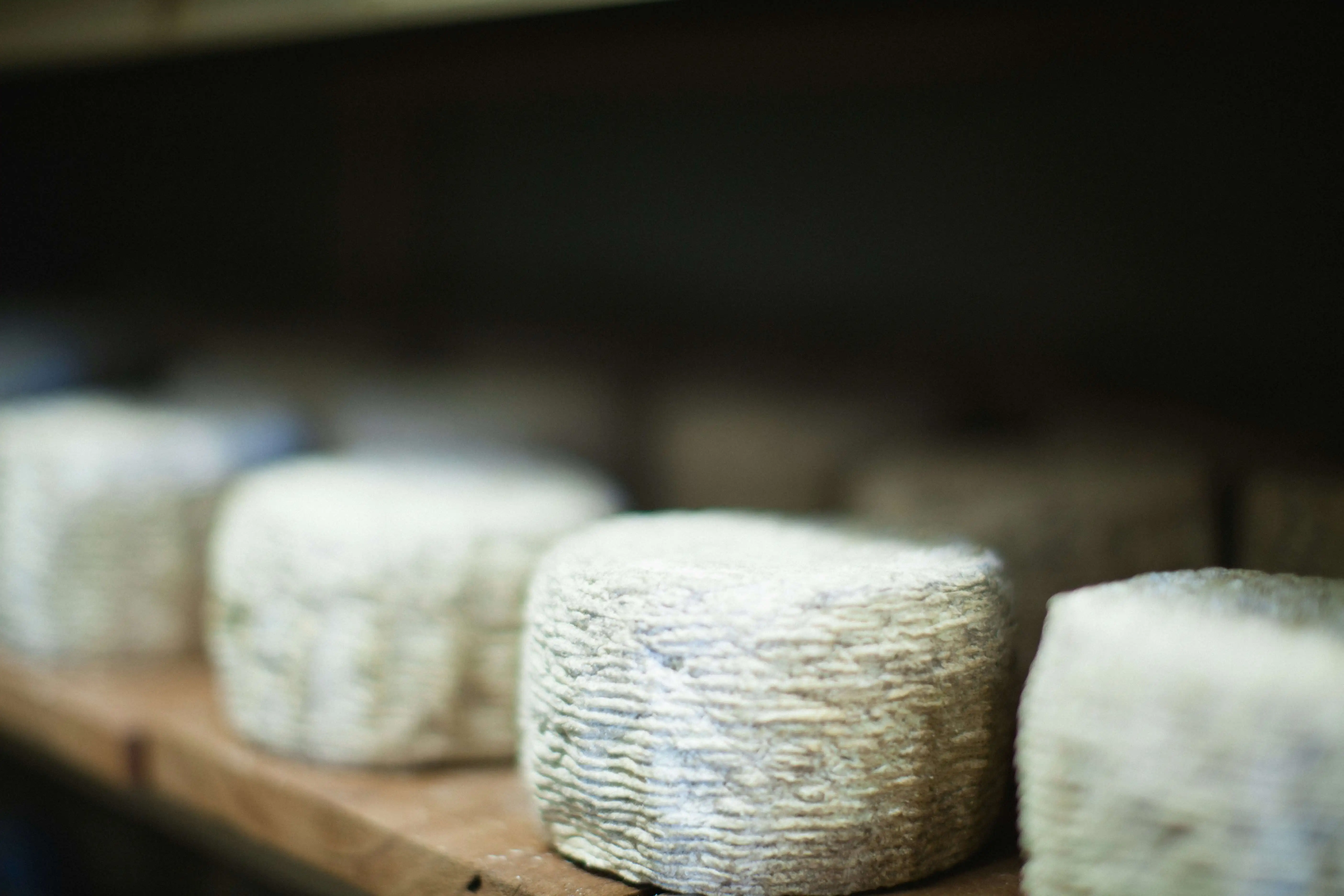 Fromage de chevre